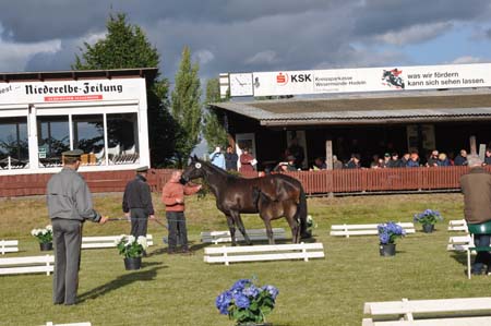 Fohelnschau Dobrock, Teil 2, 13.06.09 029