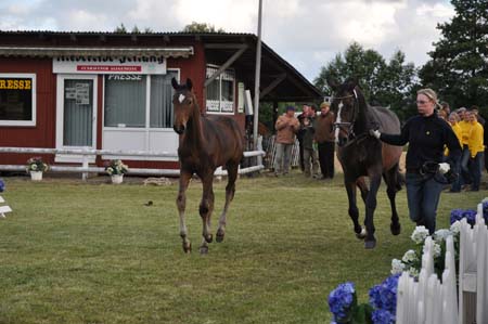 Fohelnschau Dobrock, Teil 2, 13.06.09 034