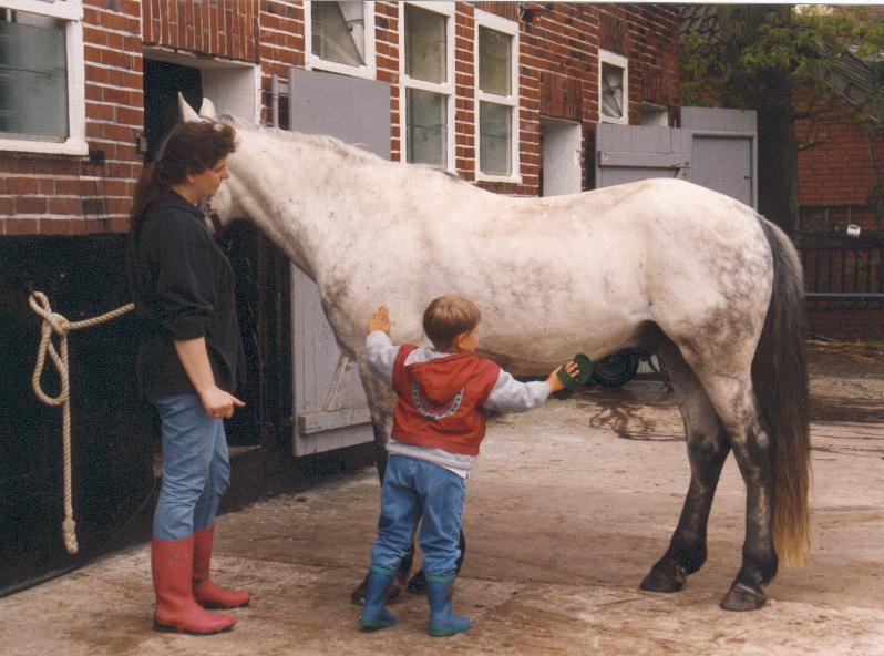 Pflege und Reinigung des Pferdes